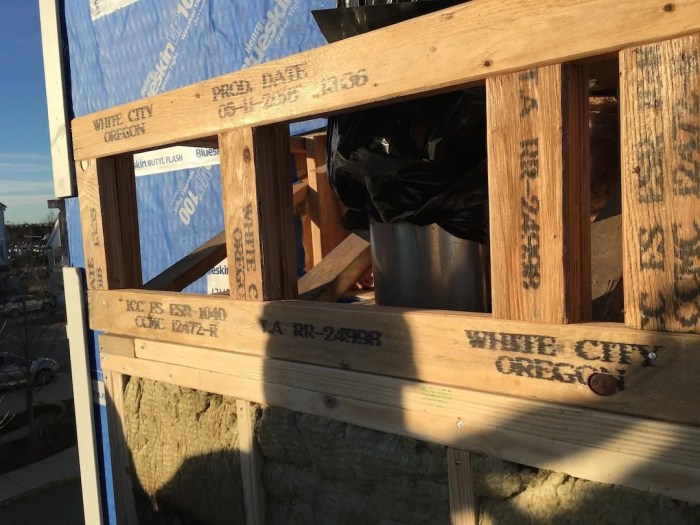 Wood-Framed Building Envelope Failure Project In Boston, MA
