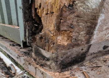 Building Envelope Failures: Case Studies from Architecture