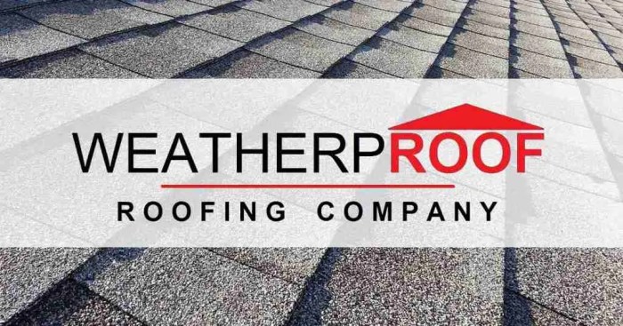 Best Roofing Contractors In The Tampa Bay Area. Top Rated!